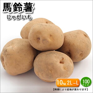 Y@Ⴊ@n鏒@10L@Yn͖kCEBnE֓nƎɂς܂BkCEʓr