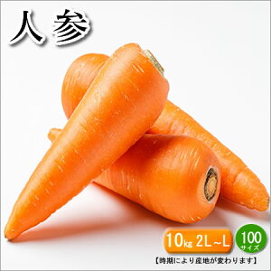 Y@󂠂@lQ@lQW[X@2L`LTCY(ws)@10L@@ɂYn͕ς܂(kCEE茧)kCEʓr