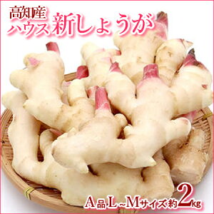 �y���������z���I�����@���m�Y�@�V���傤���@��2kg�@�n�E�X�͔|�@���I�@���傤���@�@���Ɛ��@�Ð|�Ђ��@�k�C��1000�E���ꑗ��1500�~�ysmtb-KD�z10P30May15