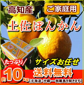 楽天市場 ぽんかん みかん フルーツ 果物 食品の通販 楽天市場 ぽんかん みかん フルーツ 果物 食品の通販