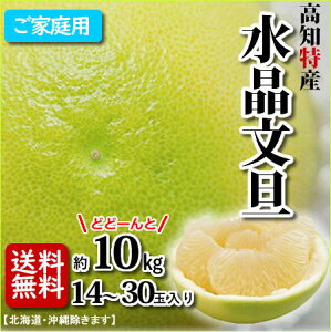 yzmYU10kg(10`30O)kC1000~E͑1500~}cR̒mȂE