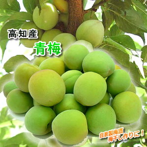 �y���������z�E���m�Y�~�E�~��~����3L����4L�T�C�Y�썂�~�E������E��4kg�k�C��1000�~�E����͑���1500�~10P30May15�y�I�X�X���z05P18Jun16