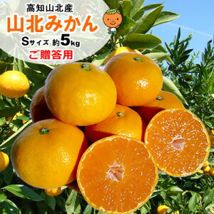 yzERk݂}`V[g͔|pM`STCY5kgkC1000~Eꑗ1500~yRCPzyyMt_zyyMt_̂zyyMt_̂zyyMt_bŹzyRCP