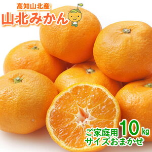 �y���������z���m�Y�R�k�݂���10kg���ƒ�p�T�C�Y���C���~�J���A�k�C��1000�~�E����͑���1500�~�����yRCP�z10P05Oct15