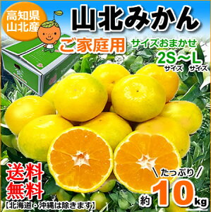 みかん10kgの通販 価格比較 価格 Com