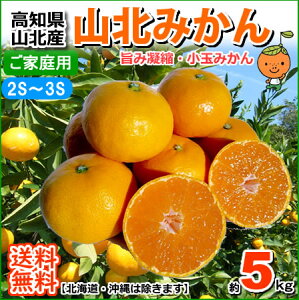 mRkYE|݋ÏkRkʂ݂2S`3STCY5kgƒp݂kC1000~Eꑗ1500~@RCPz05P19Dec15