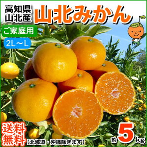 mYRk݂񉷏B݂LLLTCY5kgkC1000~Eꑗ1500~yRCPz05P19Dec15