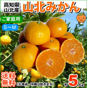 mYRk݂5kgƒpM`STCYIkC1000~E͑1500~yRCPz05P19Dec15