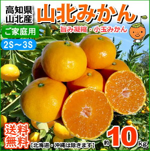 ���m�Y�R�k�݂���2S�`3S�T�C�Y10kg�E�~�J�����B�݂���k�C��1000�~�E���ꑗ��1500�~�yRCP�z05P19Dec15