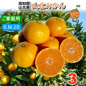 【送料無料】高知産山北みかん3kg 極早生ご家庭用サイズお任せミカン、北海道1000円・沖縄は送料1500円蜜柑