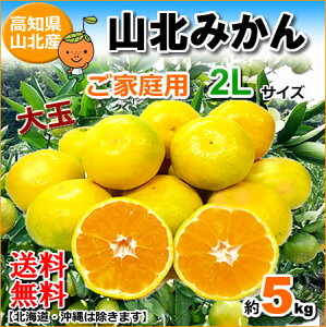 yzmYRk݂5kg ɑƒp2LLTCY~JAkC1000~E͑1500~