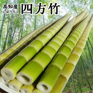 10月中旬前後より発送【送料無料】高知産・筍・四方竹約1kg入りクール便・竹の子・タケノコ北海道1000円…
