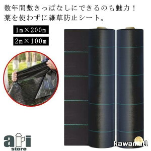   2m×100m V[g 悯 Ő  _pV[g G hV[g lH 1m×200m ԏ hV[g Gh~ G΍