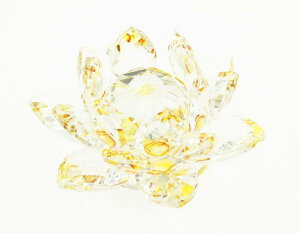 Olive-G ^CUP @̉ NX^KX u CeA YELLOW