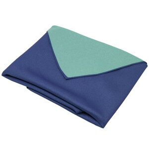 �z���C�g�n�E�X �唻���C�~ ���n ���ʐ��� �|���G�X�e�� 140×140cm