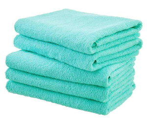 Terry Labo zeX^C 唻oX^I F5Zbg { B^I i70×140cmj Iׂ18F  킢  oX^I