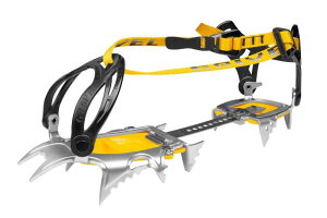 Ox(Grivel) oR AC[ GA[ebNCgEVOEChj[NVbN GVRAATLWNCEF