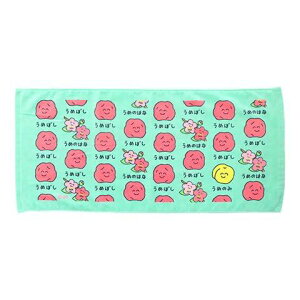 IN^jR[|[V V[Y tFCX^I ߂ڂ Rbg100