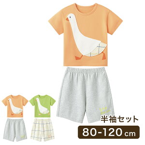 Zbg ZbgAbv 100% Rbg  TVc n[tpc [EFA LbY LbY ̎q j̎q  j c q qǂ ؍ H ~ t 