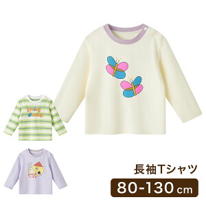 TVc  100% Rbg O TVc Vc eB[Vc m LbY xr[ xr[ LbY ̎q j̎q oYj q qǂ ۈ牀 ct ؍ 킢 H ~ t  