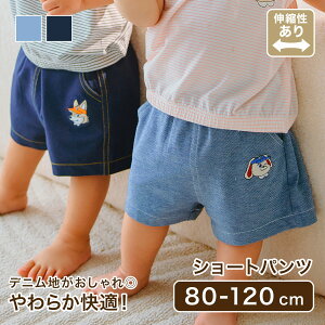 V[gpc Y{ LbYY{ Y{  m LbY xr[ xr[ LbY ̎q j̎q oYj q qǂ ۈ牀 ct ؍ 킢 H ~ t  Mtg v[g 