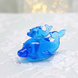 KX׍H eqCJ@CJ@dolphin@C؁@@eq@C@C @Vԁ@~j`A KX@KX׍H@CeA Lh@낤@E\N@XC  ޗ Lbg 