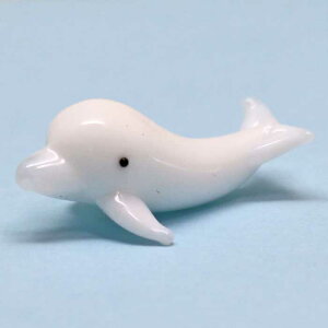 KX׍H VCJ@CJ@CJ dolphin C  C C @~j`A@KX@KX׍H CeA fBXvC IuWF Lh 낤@E\N@XC@ 