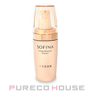 ԉ\tB[i CXgtget (net) 40gy[ւ͎g܂z