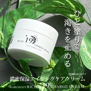 iCAVA~h iCAVA~h N[ t[ Z~h ێ q  sANXeB bV{19`[WN[