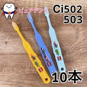 [֑@Ci502/503@g~JuV@S/M@炩/ӂ@10{Zbg@qpuV@c@wZwN