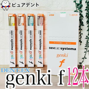 yzCI VXe} QL Gt DENT.EX systema genki f 12{