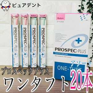 y[֐pzvXybN@uV@vX@^tg@20{@т̍d@ӂ [wXPA&PApi]