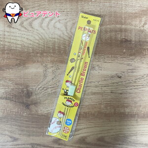 AN@AAC45@Xk[s[@SNOOPY@`[[uE@qǂH@l@XP[^[@H@OK@ׂ~߉H@NA@21cm