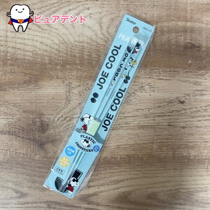 AN@AAC45@Xk[s[@SNOOPY@W[N[@qǂH@l@XP[^[@H@OK@ׂ~߉H@NA@21cm