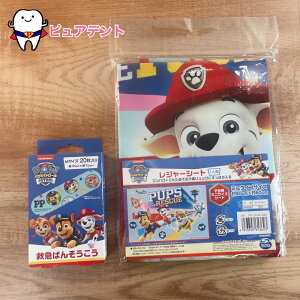 W[Zbg11@pEpg[23@pEpg[@XP[^[@W[V[g@VS1@~jTCY@RpNg@~}΂񂻂@MTCY@20@QQB1@@^@syy61362