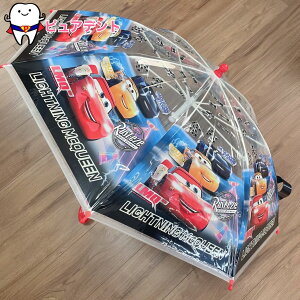 qǂprj[P@45cm@UBV45@J[Y2@Disney@fBYj[@XP[^[@JObY@ʉʊwObY@wObY@~J@qǂP