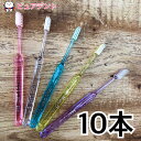 牙刷架／牙膏架｜ウィルデント モアクリーン スリム 10本入 歯ブラシ