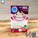 其他口腔用品｜リテーナークリーン ViVa/60錠 洗浄剤