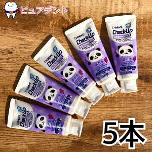 CI `FbNAbv Rh 500 Ԃǂ@60g@5{@O[v DENT.Check@Upkodomoy[֕sz500ppmf