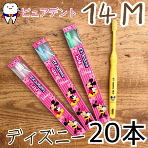 y[֐pzCI EX kodomo fBYj[ uV 20{ 14M@Rh [wXPA&PApi]