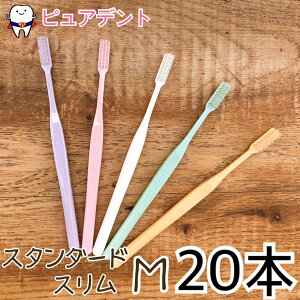 y[֐pz vXybN uV vX@X^_[hX M/ӂ 20{ W[V[(GC)