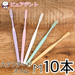 y[֐pz vXybN uV vX@X^_[hX M/ӂ 10{ W[V[(GC)