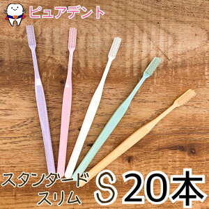 y[֐pzvXybN@uV@vX@X^_[hX S/炩߁@20{ @GC(W[V[)