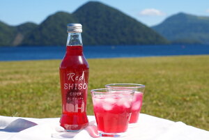 ykCzyW[XzƂ̐ԂTC_[@230ml×24{