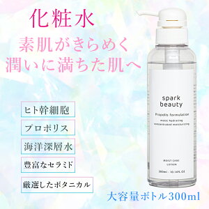 yVzϐ 300ml [ qgזE e ێ Ƃ v|XGLX qgbזE|{tGLX YʎGLX e fpRX Z~h I[KjbN  Y 