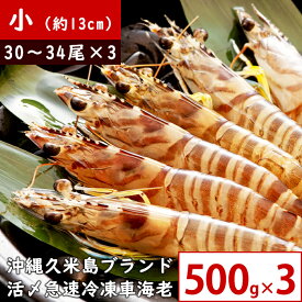 【小サイズ 500g×3】沖縄久米島産 活〆急速冷凍 車海老 30～34尾 約13cm【海洋深層水育ち】【生食可】