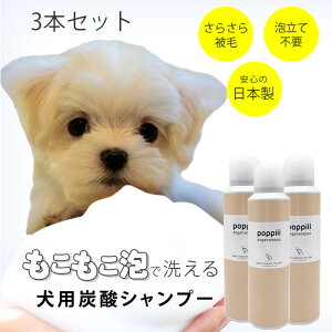 pY_AVv[ 3{Zbg [Y sA qC sAq[O  AVv[ Y_Vv[  Vv[ h̃Vv[  ybg AVv[ 