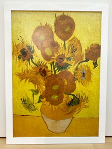 |X^[A[g Sbz (Ђ܂) A2TCY { CeA ǎp G