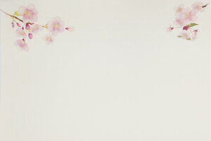 e[u}bg  ~ 26×38cm 100 v~AH[