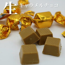 生キャラメルチョコレート 405g【ピュアレ】